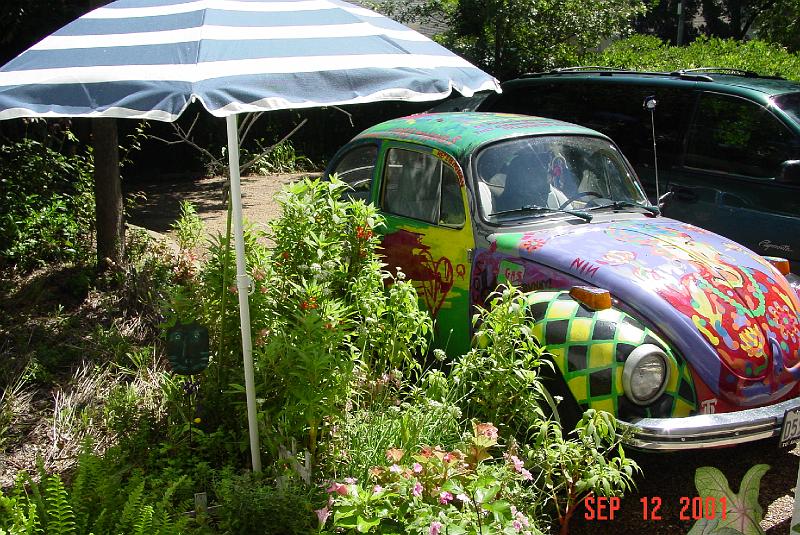 nimby in bushes2.jpg
